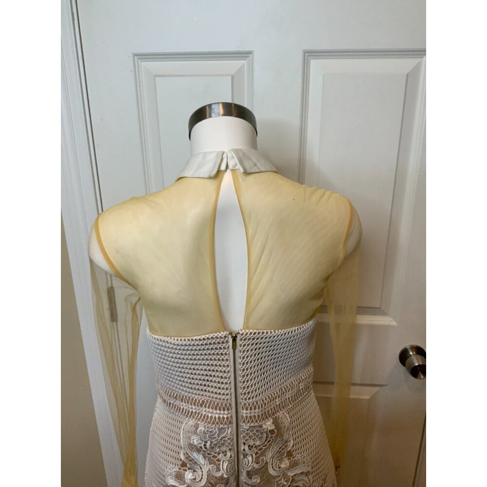 Self-Portrait White Lace Tan Mesh Collared Long Sleeve Fit & Flare Dress, Size 8 - Picture 7 of 8